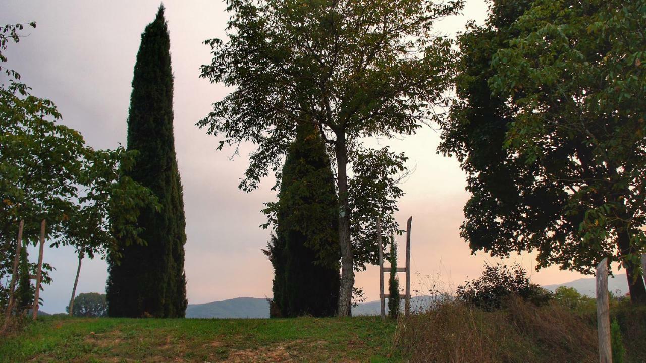 Agriturismo Casa Agricola Rossi Appartamenti In Casentino Soci Exterior foto
