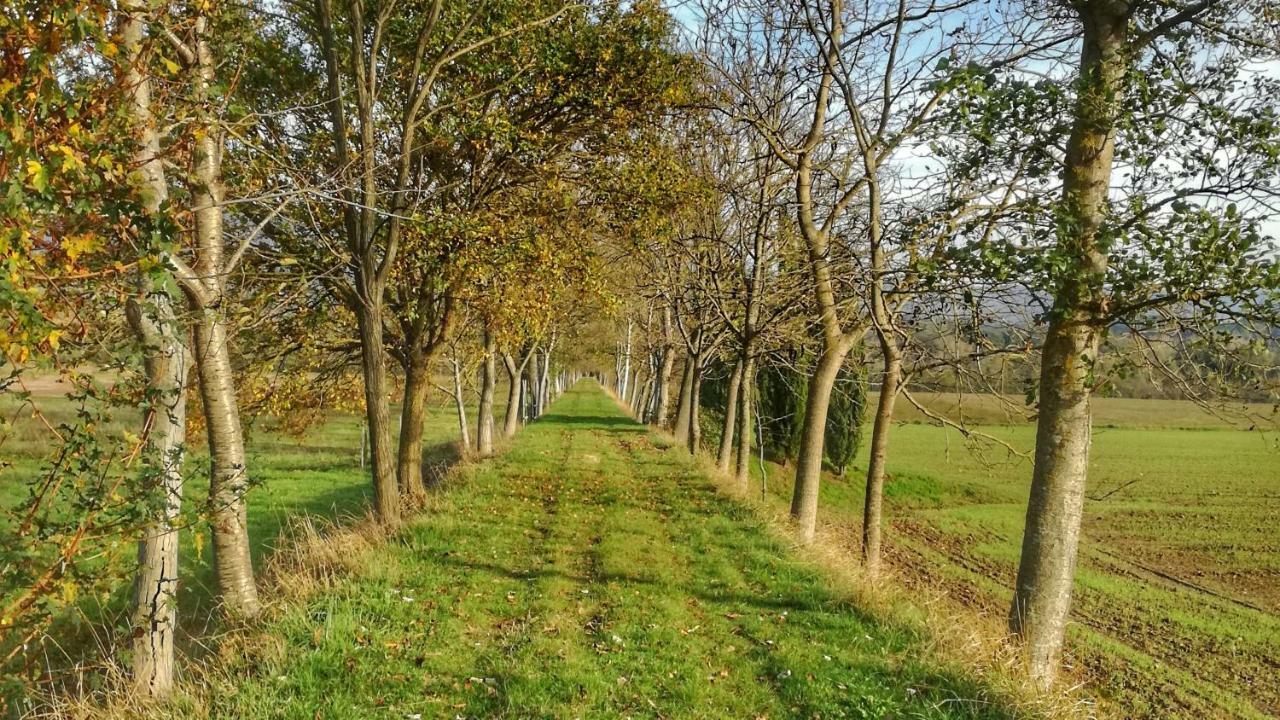 Agriturismo Casa Agricola Rossi Appartamenti In Casentino Soci Exterior foto
