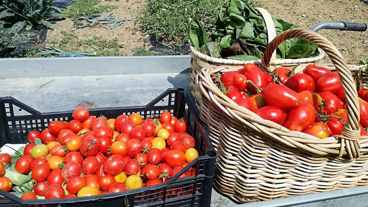 Agriturismo Casa Agricola Rossi Appartamenti In Casentino Soci Exterior foto